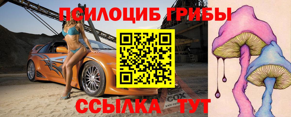 Котовск  закладка  Вход с VPN  Псилоцибиновые грибы ЛСД 