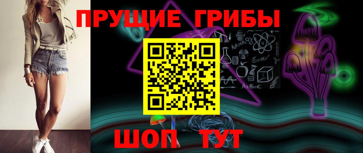 Галлюциногенные грибы Psilocybine cubensis Котовск